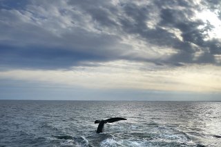 Ce record est particulièrement frappant, car il survient tôt dans l'année, l'océan Atlantique Nord atteignant son pic de chaleur en septembre (archives).